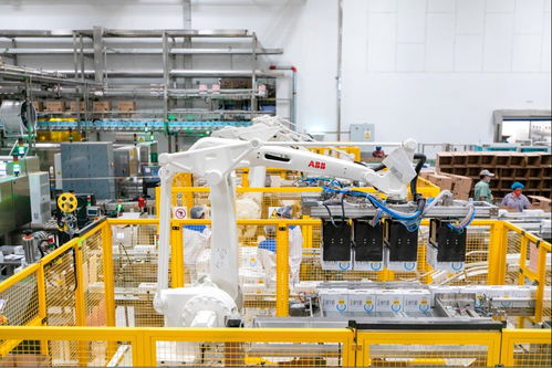 認養(yǎng)一頭牛 以扎實養(yǎng)牛為起點,加速跑出數(shù)字化發(fā)展與責(zé)任擔(dān)當(dāng)